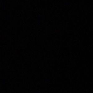 Meet your Posher, Brady